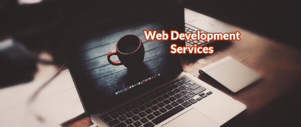 Website Development Service (Basic Package)